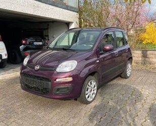 Fiat New Panda Gebrauchtwagen