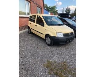 Fiat Panda Gebrauchtwagen