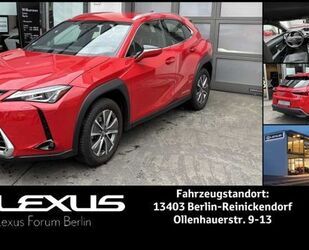 Lexus UX Gebrauchtwagen