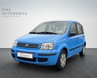 Fiat Panda Gebrauchtwagen