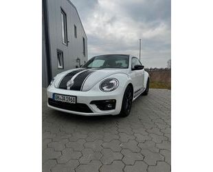VW Beetle Gebrauchtwagen