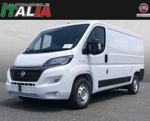 Fiat Ducato Gebrauchtwagen
