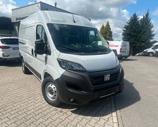 Fiat Ducato Gebrauchtwagen