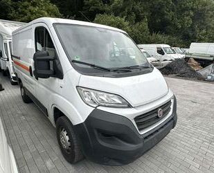 Fiat Ducato Gebrauchtwagen