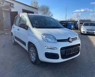 Fiat Panda Gebrauchtwagen