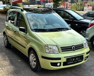 Fiat Panda Gebrauchtwagen