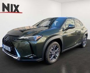 Lexus UX Gebrauchtwagen