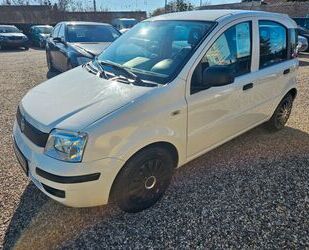 Fiat Panda Gebrauchtwagen