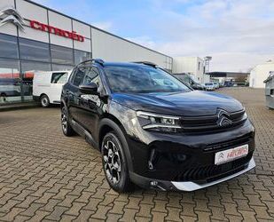 Citroen C5 Aircross Gebrauchtwagen