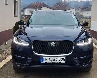 Jaguar F-Pace Gebrauchtwagen