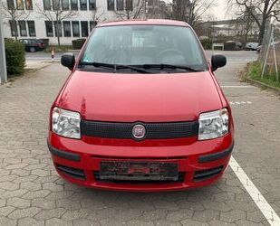 Fiat Panda Gebrauchtwagen