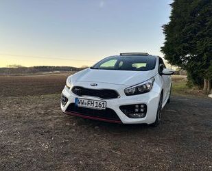 Kia pro ceed / ProCeed Gebrauchtwagen