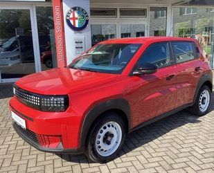 Fiat Panda Gebrauchtwagen