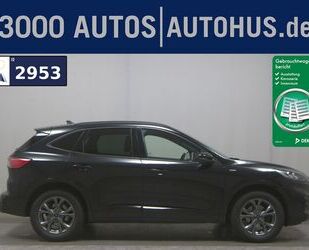 Ford Kuga Gebrauchtwagen