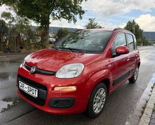 Fiat Panda Gebrauchtwagen