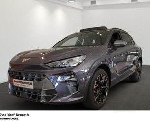 Cupra Terramar Gebrauchtwagen