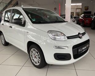 Fiat Panda Gebrauchtwagen