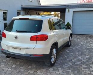 VW Tiguan Gebrauchtwagen