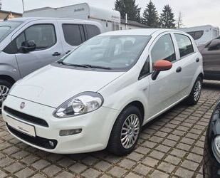 Fiat Punto Gebrauchtwagen
