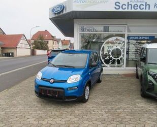 Fiat Panda Gebrauchtwagen