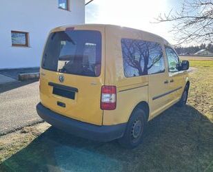 VW Caddy Gebrauchtwagen