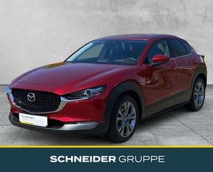 Mazda CX-30 Gebrauchtwagen