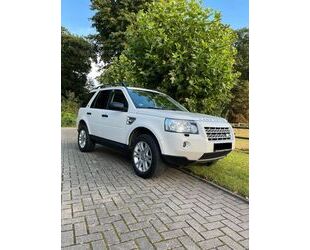 Land Rover Freelander Gebrauchtwagen