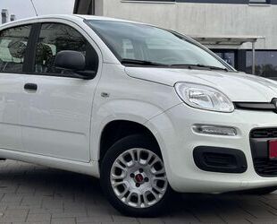 Fiat Panda Gebrauchtwagen