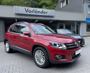 VW Tiguan Gebrauchtwagen