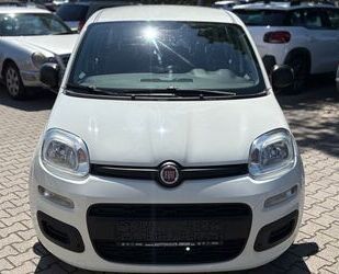 Fiat Panda Gebrauchtwagen