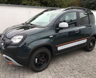 Fiat Panda Gebrauchtwagen