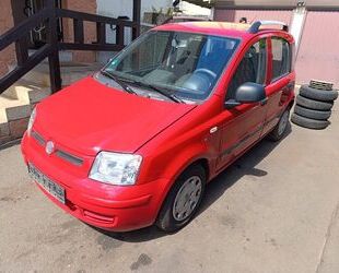 Fiat Panda Gebrauchtwagen