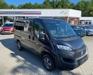 Fiat Ducato Gebrauchtwagen