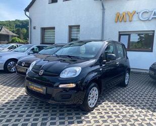 Fiat Panda Gebrauchtwagen