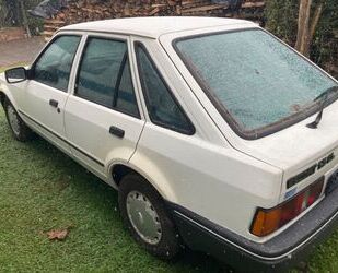 Ford Escort Gebrauchtwagen