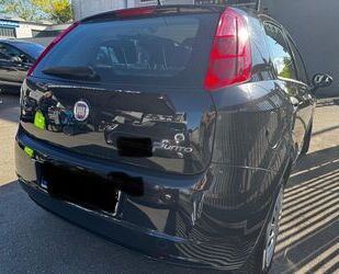Fiat Punto Gebrauchtwagen