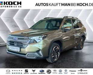 Subaru Forester Gebrauchtwagen