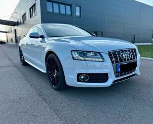 Audi S5 Gebrauchtwagen