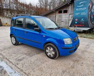 Fiat Panda Gebrauchtwagen
