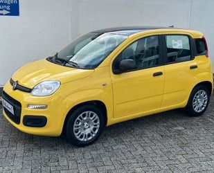 Fiat Panda Gebrauchtwagen