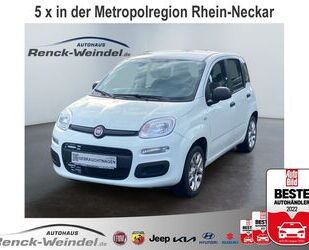 Fiat Panda Gebrauchtwagen