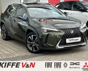 Lexus UX Gebrauchtwagen