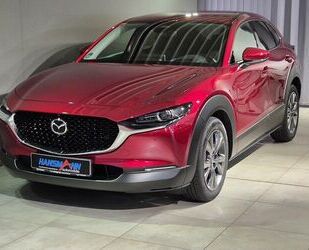 Mazda CX-30 Gebrauchtwagen