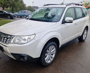Subaru Forester Gebrauchtwagen