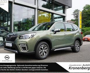 Subaru Forester Gebrauchtwagen