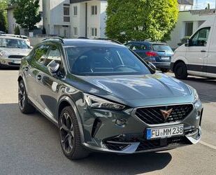Cupra Formentor Gebrauchtwagen