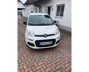 Fiat Panda Gebrauchtwagen