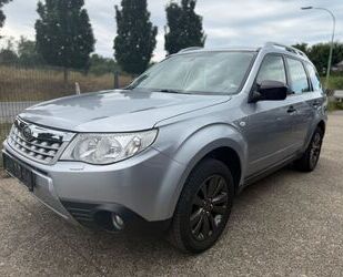 Subaru Forester Gebrauchtwagen