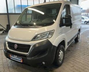 Fiat Ducato Gebrauchtwagen