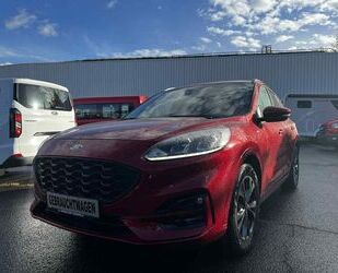 Ford Kuga Gebrauchtwagen